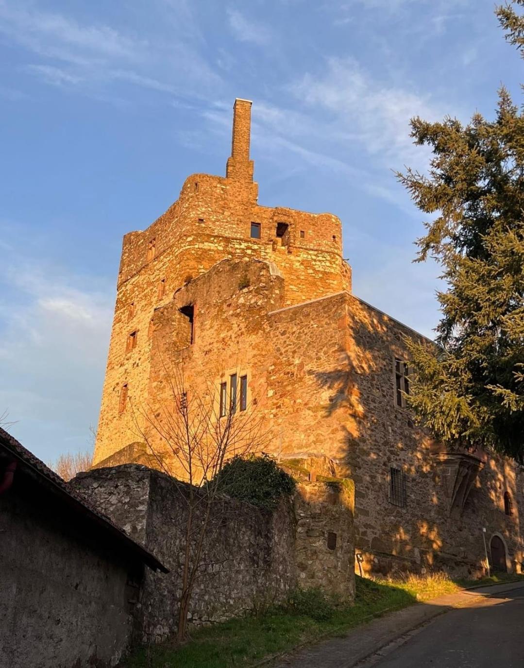 Burg Hermannstein - Kings Room Wetzlar Bagian luar foto