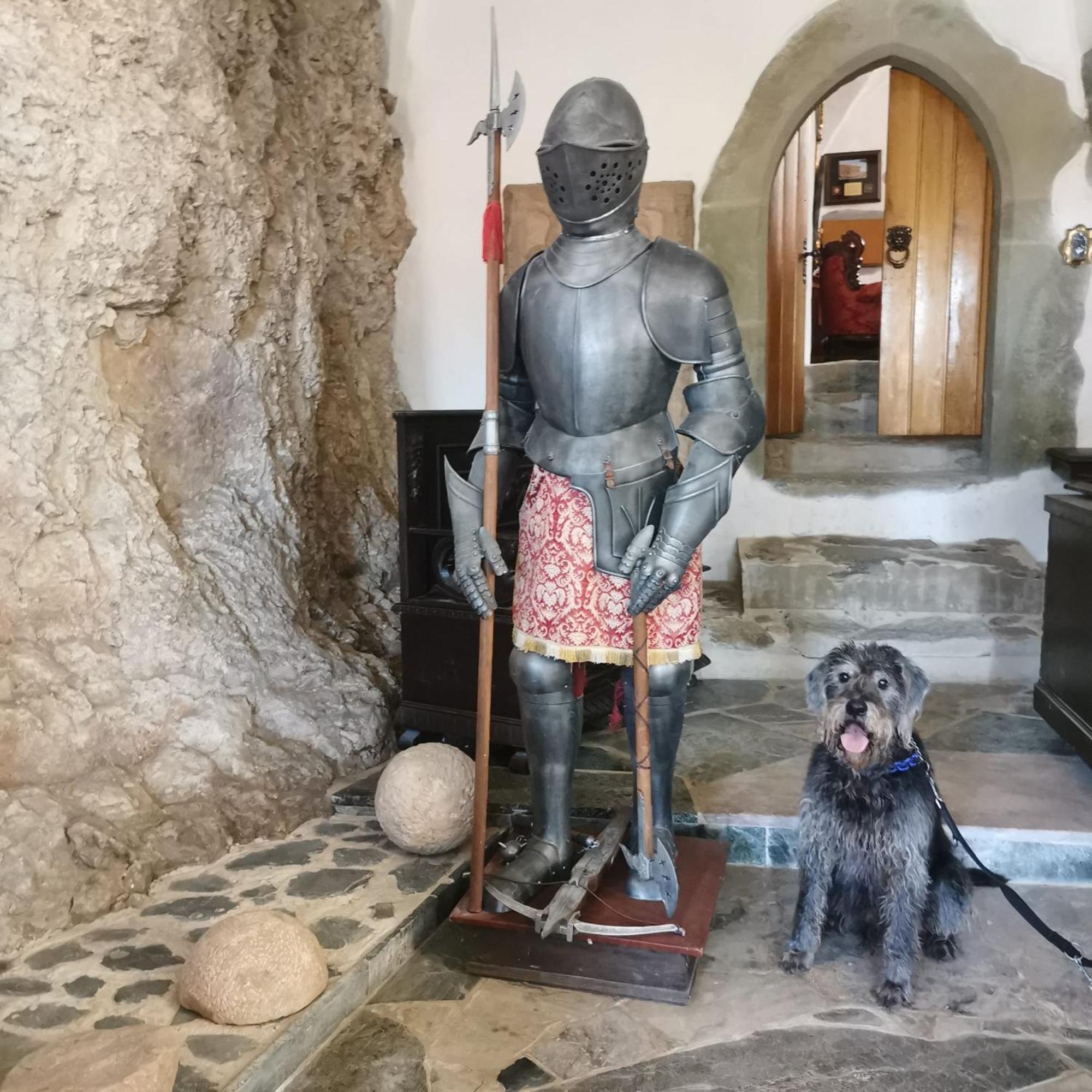 Burg Hermannstein - Kings Room Wetzlar Bagian luar foto